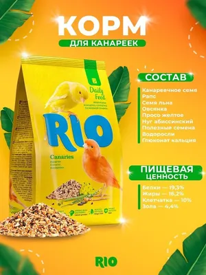 Rio 1кг корм для канареек основной рацион, купить оптом в Москве, цена,  характеристики, описание - Симбио - ЗооЛэнд