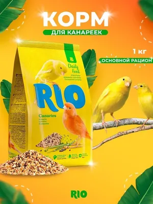 Rio 1кг корм для канареек основной рацион, купить оптом в Москве, цена,  характеристики, описание - Симбио - ЗооЛэнд