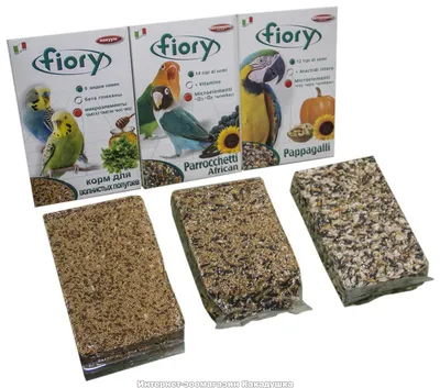 Обзор кормов Fiory для попугаев