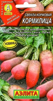 Кормовые культуры и сидераты Кормовая Свекла Урсус Желтый купить в Украине  | Веснодар