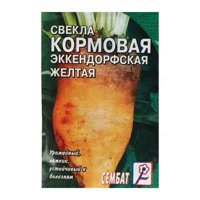 Свекла кормовая Эккендорфская моно 3г, семена | Купить в интернет магазине  Аэлита