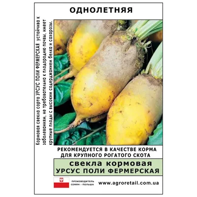 Семена свекла кормовая «Урсус поли» 200 г купить в Минске: недорого, в  рассрочку в интернет-магазине Емолл бай
