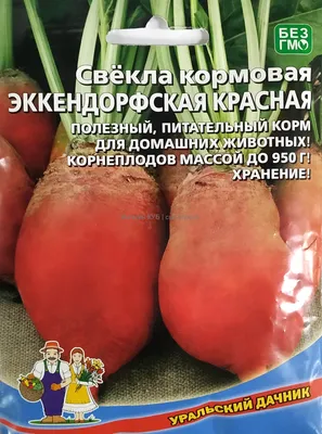 Кормовий буряк кормовая свекла Бригадир семена: 250 грн. - Сад / огород  Валки на Olx