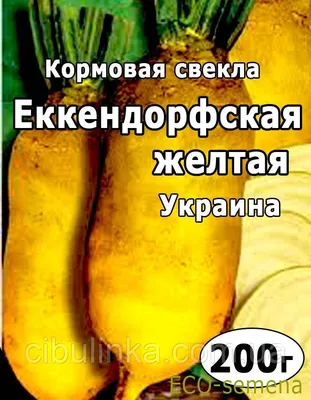 Купить свекла кормовая эккендорфская желтая Саратов оптом и в розницу по  низкой цене