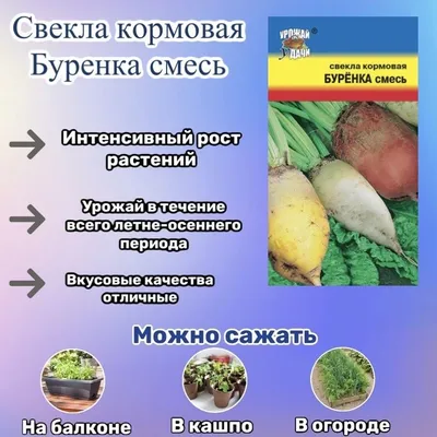 Семена кормовой свеклы Эккендорфская красная 1кг (GSN Франция) - купить  семена почтой в Украине | 6 СОТОК
