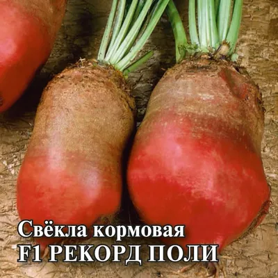 Семена Свекла Кормовая Центаур Белый, Украина, 100 Г — Купить на BIGL.UA ᐉ  Удобная Доставка (813098741)