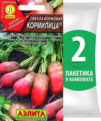 Кормовая Свекла И Рутабага Урожай — стоковые фотографии и другие картинки  Земля - Земля, Отъезд, Почва - iStock