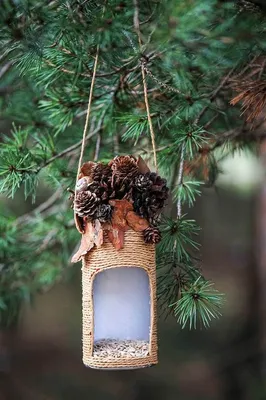 How to make a bird feeder. DIY ideas. - YouTube