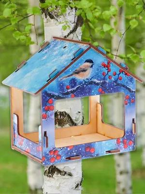 Оригинальная кормушка для птиц из подручных природных материалов
