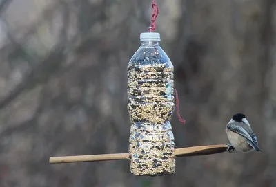 Кормушка для птиц своими руками: 14 самых крутых варианта кормушек для птиц  | ВКонтакте