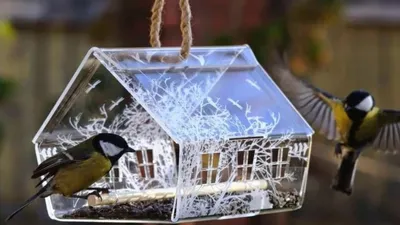 Как сделать ледяную кормушку для птиц своими руками, мастер-класс: делаем  ледяную кормушку | Houzz Россия