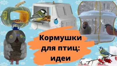 Простые и оригинальные идеи для тех, кто не знает, как сделать кормушку для птиц  своими руками из подручных материалов - Рамблер/женский