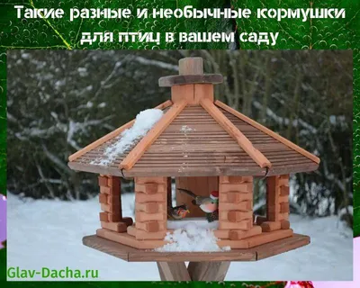 15 кормушек для птиц: своими руками и почти бесплатно | Новгородский  строитель | Дзен