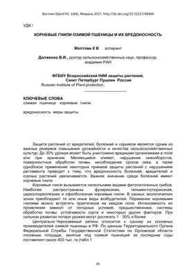 Два важных аспекта в стратегическом плане сева озимой пшеницы — АгроXXI