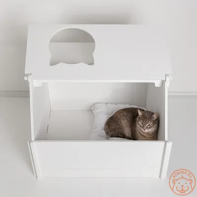 Коробка для родов кошки – бесплатные фотографии в формате jpg