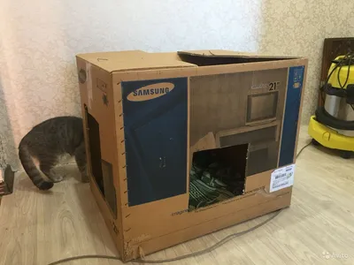 Коробка для родов кошки фотографии
