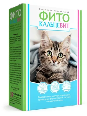 Коробка для родов кошки – картинка для баннера на сайте