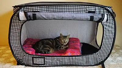 Коробка для родов кошки – бесплатные изображения в png формате