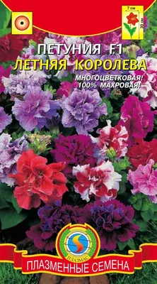 Цветы Петуния Снежная королева F1 Гавриш 36020375 купить за 177 ₽ в  интернет-магазине Wildberries