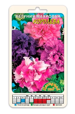 Семена цветов Петуния Превосходнейшая \"Альба\", крупноцветковая, О, 10 шт  (2839064) - Купить по цене от 15.70 руб. | Интернет магазин SIMA-LAND.RU