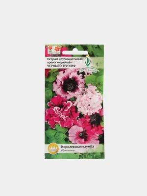 S6043 Петуния кустовая Multiflora Picobella Rose 10шт. - купить в Москве в  интернет-магазине