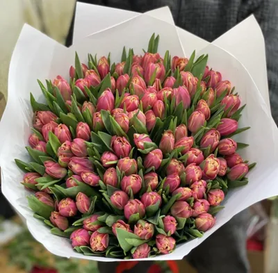 Заказать с доставкой - Фиолетовые тюльпаны (королевские) - Кишинев, Молдова  - surprize.md