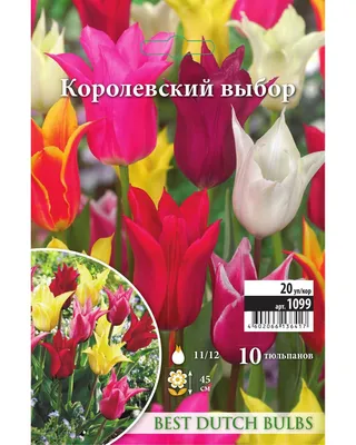 Королевские тюльпаны потока на саде тюльпана Veldheer в Голландии Стоковое  Фото - изображение насчитывающей мичиган, картина: 119120766