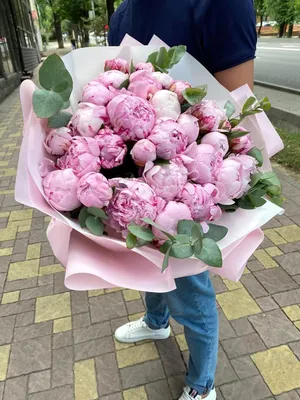 1️⃣ Букет «Королевские пионы» – заказать в Алматы от PRO-BUKET!