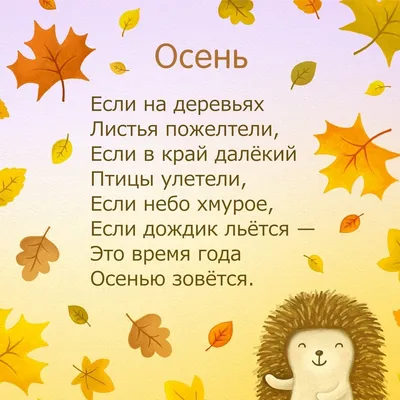 ИД ЛИТЕРА Радуга. Новые Стихи-Болтушки