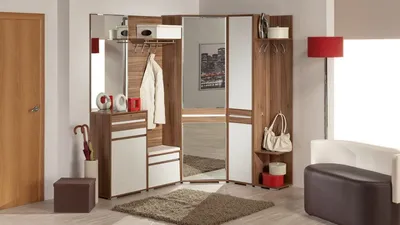 58 отметок «Нравится», 1 комментариев — Корпусная мебель Шкафы Москва  (@minel_studio) в Instagram: «Распашной … | Небольшой домашний дизайн,  Современный дом, Дизайн