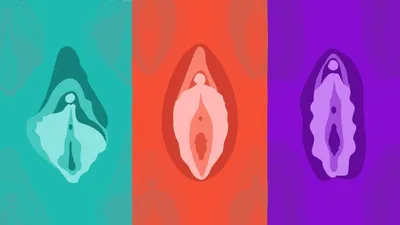 Коррекция больших половых губ | КЛРЦ