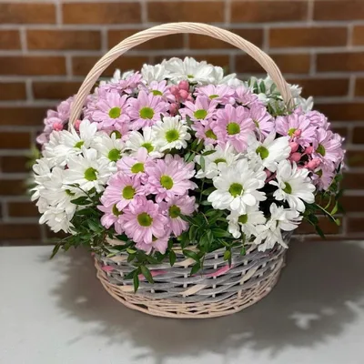 Купить корзина хризантемы ромашка в Видном в интернет-магазине «Империя  Цветов»