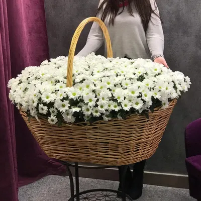 15 сиреневых кустовых хризантем в корзине за 5 890 руб. | Бесплатная  доставка цветов по Москве