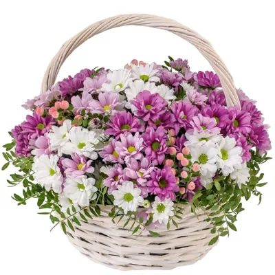 Корзина с хризантемой - Доставкой цветов в Москве! 10340 товаров! Цены от  487 руб. Цветы Тут