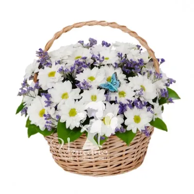Корзина с орхидеями, хризантемой, альстромерией купить в Твери по цене 3340  рублей | Камелия