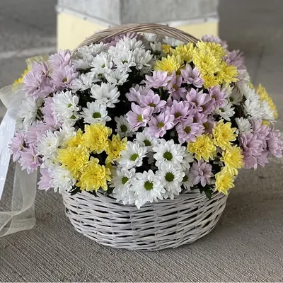 Композиция из белых кустовых хризантем в корзине - купить цветы с доставкой  по Москве и МО от 5090 руб | «Букет-Маркет»