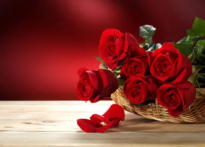 Букет дизайнерских искусственных красных цветов высокого качества: 10 000  тг. - Букеты цветов Астана на Olx