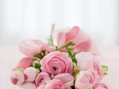 Букет из 123 розовых роз Свит Юнику (00784) купить с доставкой в  Архангельске