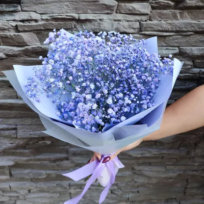 Купить Искусственное дерево глициния белая, декоративное растение, цветок  высокий напольный для декора интерьера, в кашпо, 155 см по выгодной цене в  интернет-магазине OZON.ru (728487742)
