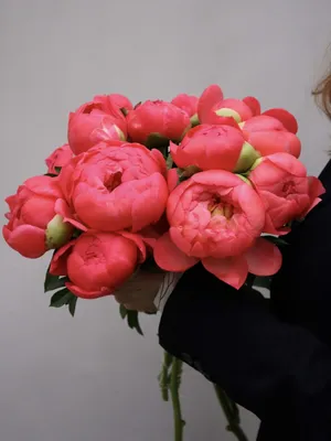 Доставка цветов | студия цветов Зелень – купить цветы с доставкой в  Санкт-Петербурге