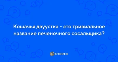 Презентация на тему: \"Кошачья двуустка.. Кошачья двуустка - плоский червь –  один из самых опасных паразитов. Им можно заразиться через рыбу, кошку и  собаку. Кошачья двуустка.\". Скачать бесплатно и без регистрации.