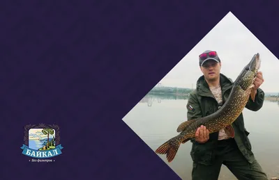 Уклейка - Рыболовный форум