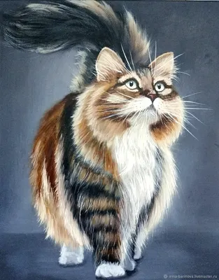 Сверкающие глаза Кошки Мурки на фото
