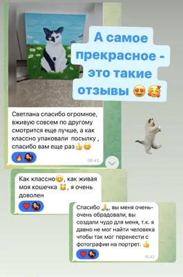 Изображение Кошки Мурки, достойное восхищения