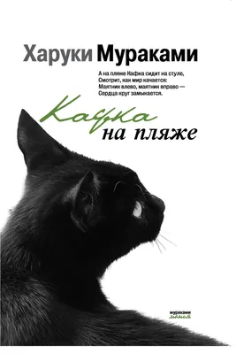 Фото, кошка на пляже, изображение: скачать бесплатно в webp