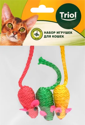 Кошка с мышкой: качественная картинка в webp