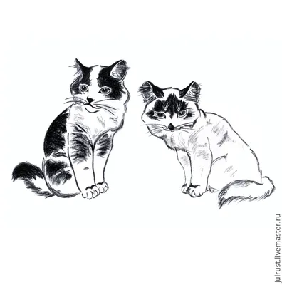 Искусство черно-белых кошек на фото