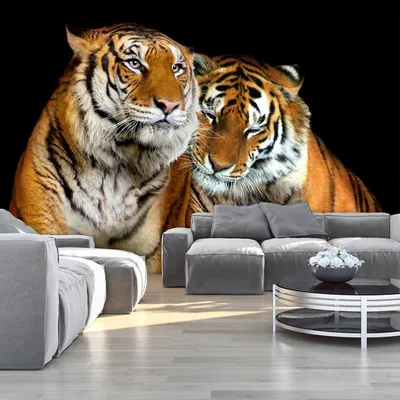 Модные фото обои в зал Животные 368х254 см 3D Два тигра Кошки Дикая природа  (130P8)+клей (ID#1025369324), цена: 1400 ₴, купить на Prom.ua