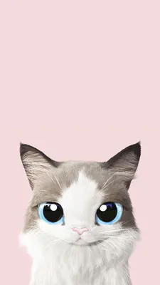 Заставка на телефон кот | Watercolor wallpaper iphone, Iphone wallpaper  hipster, Cat art