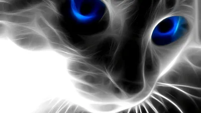 кошка с персиком простые картинки на мобильном Фон Обои Изображение для  бесплатной загрузки - Pngtree
